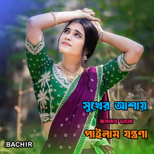 সুখের আশায় বাসলাম ভালো পাইলাম যন্ত্রণা