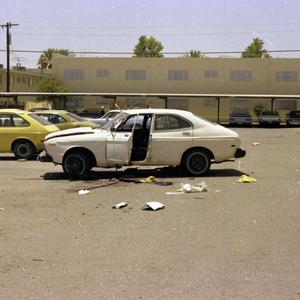 Bergamot (Rehearsal Demo)