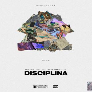 Disciplina