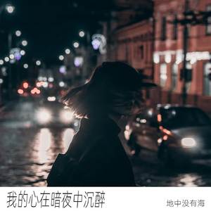 我的心在暗夜中沉醉