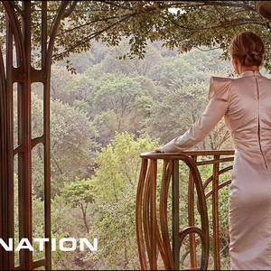 Arrival at the Tree Nation: A Steampunk Journey