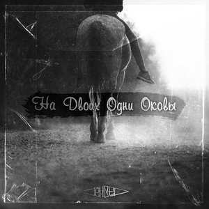 На двоих одни оковы