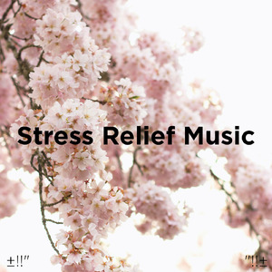 수면을위한 바다의 소리