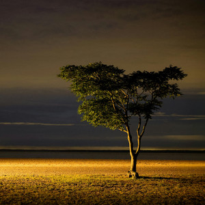 El Último Que Pensé