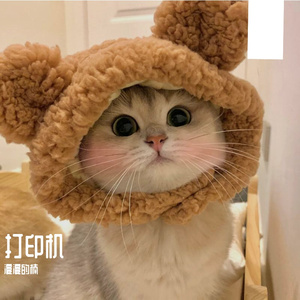 胡同