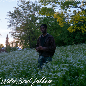 Wild Soul Fallen