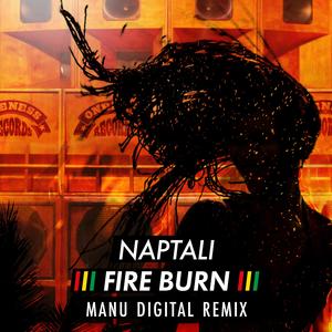 Fire Burn (Manu Digital Remix)