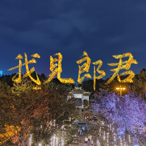 【情书】我见郎君