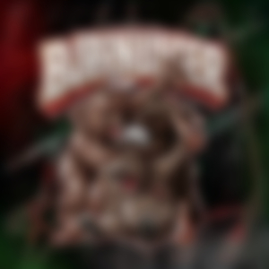 Bjørnunger 2026 (hjemmesnekk)