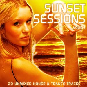 House ***** (Slappin Plastic Remix)