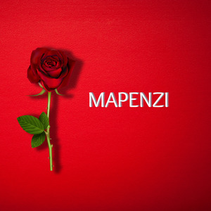 Mapenzi