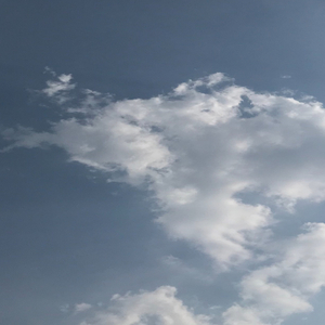 จิ้งตกตุ๊กแกร้องทักอย่าลืมส่งรักให้จักรวาล