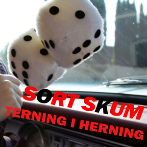 Terning i Herning