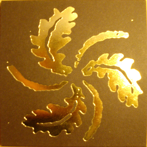 Longo Camiño de Desaprendizaxe