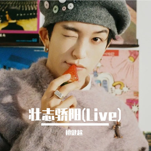 壮志骄阳(Live)（合唱）