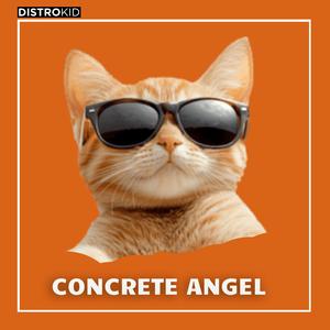 DJ Concrete Angel Stadium