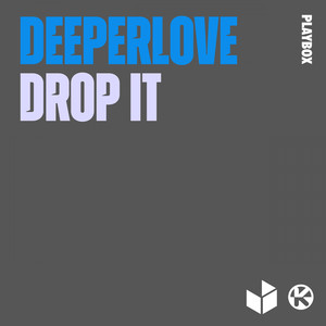 Drop It (Special Vibe Remix)