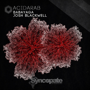 Acidarab (Original Mix)