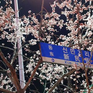 江城子 密州出猎