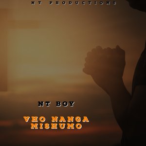 Vho Nanga Mishumo