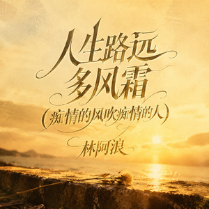 人生路远多风霜（痴情的风吹痴情的人）
