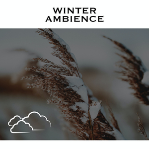 Wind and Snow - No Fade