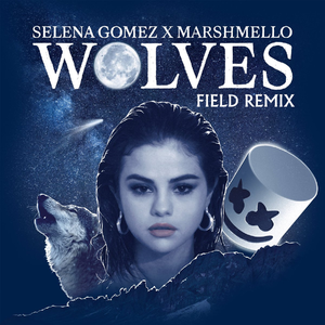 Marshmello - Wolves(Field Remix)