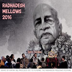 Gour Krsna (Radhadesh Mellows 16 Day 3)