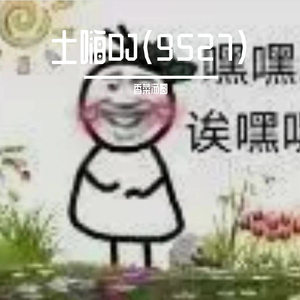 Aille-给你看DJ（香菜汤圆 remix）
