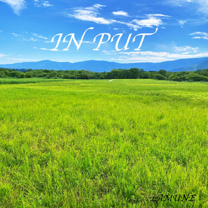IN PUT