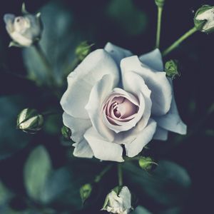 ＂抽搐＂Boombap/法老/钢琴/叙事/Emo Type Beat