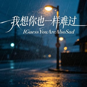 我想你也一样难过