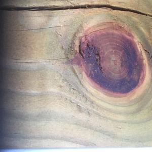 Etchings (feat. Zach Moats)