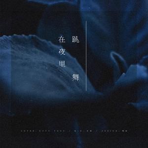 在夜里跳舞（翻自 单依纯）