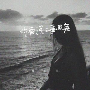 你要谈三妻四妾 (无情夜雨版)