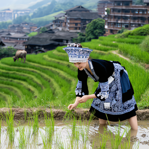 蝉之歌 (侗族大歌Ambient)（YAO仲承 remix）