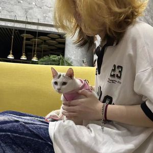 叶止秋末（钢琴特别版）