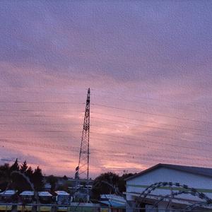 去城市化的貓頭鷹鳴叫!