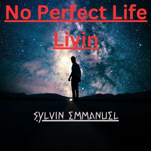 No Perfect Life Livin