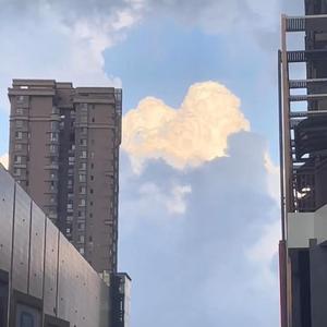 从没说过不爱你