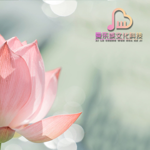 洞庭新歌 (古筝独奏)