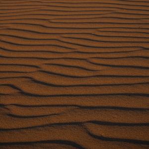 Synth Revolution (Demo )