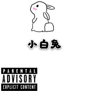 小白兔（Prod By Ljx Ghost)
