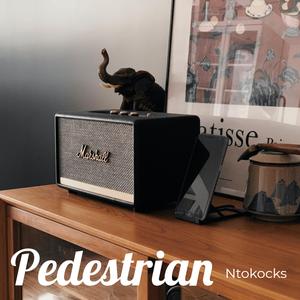 Pedestrian