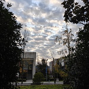 第十七夜