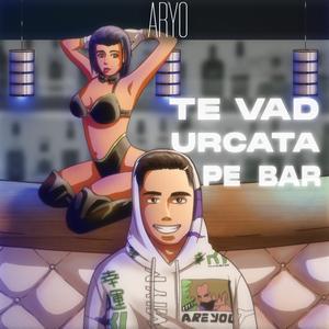 Te Vad Urcata Pe Bar