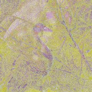 More Than I Can Give