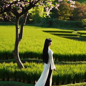 Hồn Việt / Spirit of Vietnam