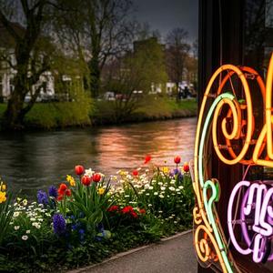 A Letter in the Rain