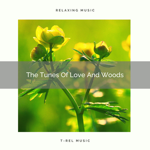 Nature Calls With Flowing Water And Meadow Noises